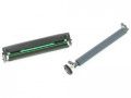 Термоголовка 300 dpi, Zebra, ZD420T ZD620T (P1080383-229)