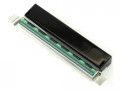 Термоголовка Zebra ZT200, ZT230 203 dpi (P1037974-010)